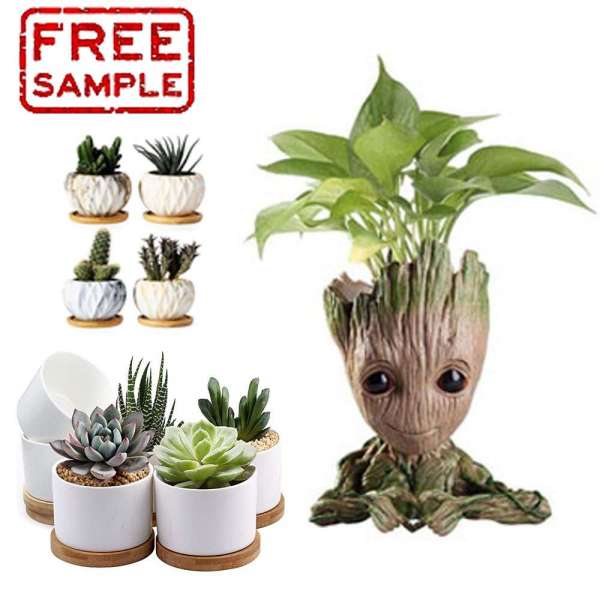 Free sample Modern Style Planters pots cheap ceramic flower pot Succulent Pot Planter garden Cactus Plant planter flower pot